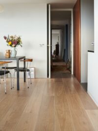 SALTRAM into hallwaywidth=