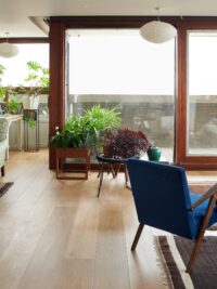 SALTRAM plantswidth=